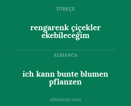 ich kann bunte blumen pflanzen - rengarenk çiçekler ekebileceğim