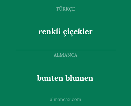 renkli çiçekler - bunten blumen