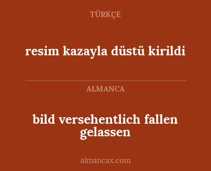 bild versehentlich fallen gelassen - resim kazayla düstü kirildi