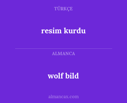 resim kurdu - wolf bild
