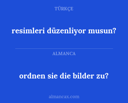 resimleri düzenliyor musun? - ordnen sie  die bilder zu?