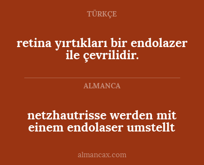 netzhautrisse werden mit einem endolaser umstellt - retina yırtıkları bir endolazer ile çevrilidir.