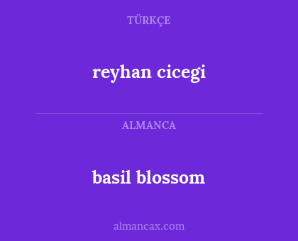 basil blossom - reyhan cicegi
