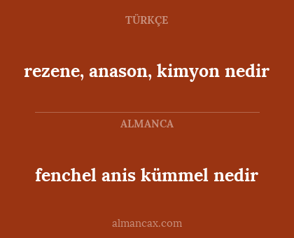 fenchel anis kümmel nedir - rezene, anason, kimyon nedir