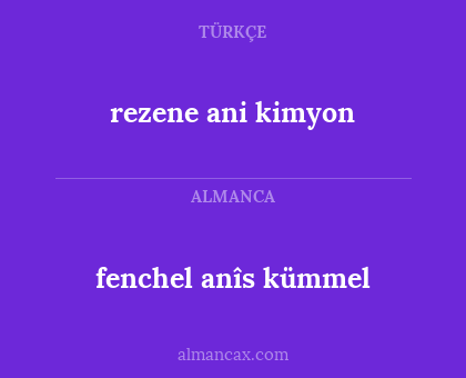 rezene ani kimyon - fenchel anîs kümmel