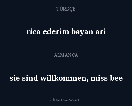 rica ederim bayan ari - sie sind willkommen, miss bee