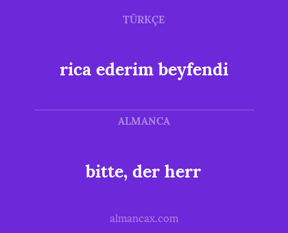 rica ederim beyfendi - bitte, der herr