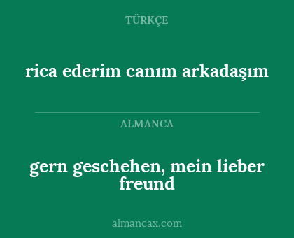 gern geschehen, mein lieber freund - rica ederim canım arkadaşım
