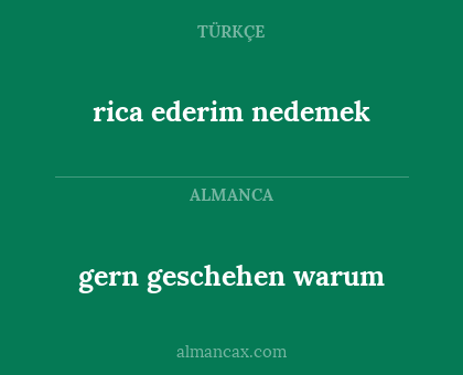 rica ederim nedemek - gern geschehen warum