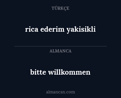 bitte willkommen - rica ederim yakisikli