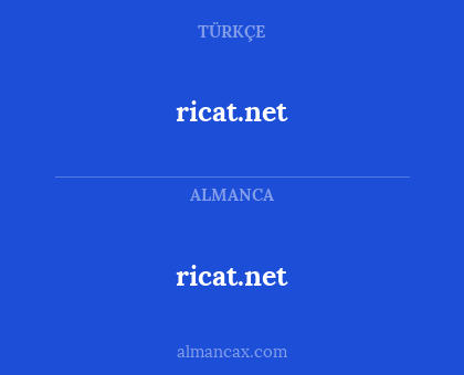 ricat.net - ricat.net