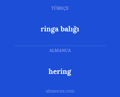 hering - ringa balığı