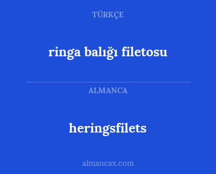 ringa balığı filetosu - heringsfilets