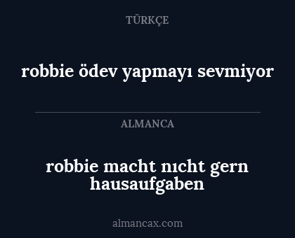 robbie macht nıcht gern hausaufgaben - robbie ödev yapmayı sevmiyor