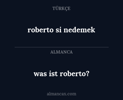 roberto si nedemek - was ist roberto?