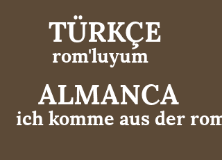 rom%26%2339%3Bluyum-ich+komme+aus+der+rom.png