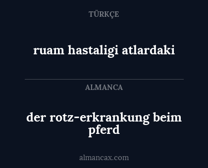 der rotz-erkrankung beim pferd - ruam hastaligi atlardaki