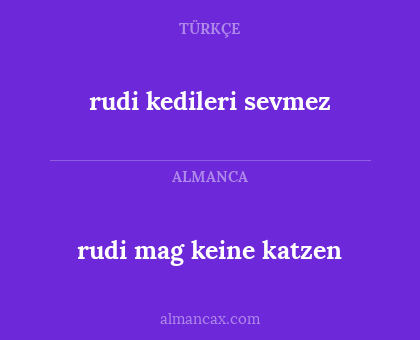 rudi kedileri sevmez - rudi mag keine katzen