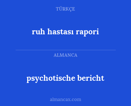 ruh hastası rapori - psychotische bericht
