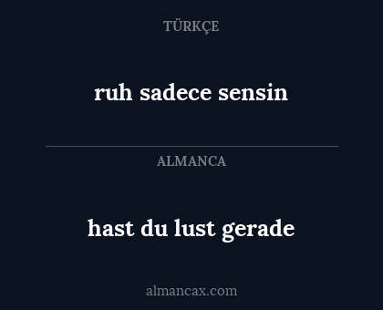 hast du lust gerade - ruh sadece sensin