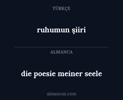 die poesie meiner seele - ruhumun şiiri
