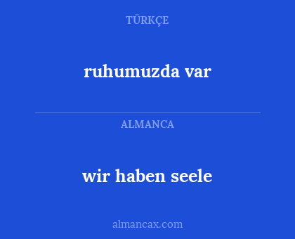 wir haben seele - ruhumuzda var
