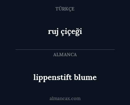 ruj çiçeği - lippenstift blume