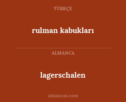 lagerschalen - rulman kabukları