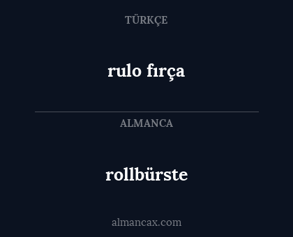 rollbürste - rulo fırça