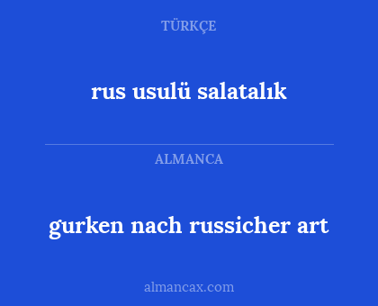 gurken nach russicher art - rus usulü salatalık