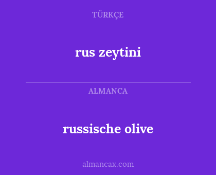 rus zeytini - russische olive