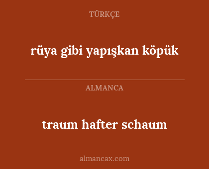 traum hafter schaum - rüya gibi yapışkan köpük
