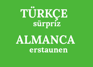 Almanca Ceviri Erstaunen Turkcesi Nedir Erstaunen Ne Demek Erstaunen Cevirisi Nedir Almanca Erstaunen Ne Demek