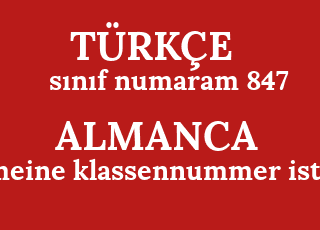 s%C4%B1n%C4%B1f+numaram+847-meine+klassennummer+ist+847.png