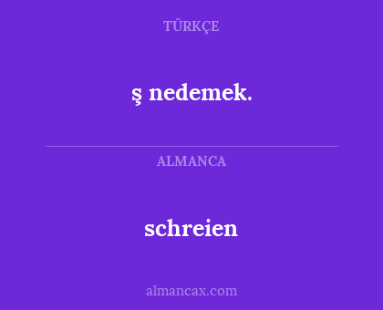 schreien - ş nedemek.