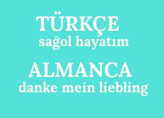 sa%C4%9Fol+hayat%C4%B1m-danke+mein+liebling.png