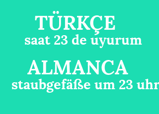 saat+23+de+uyurum-staubgef%C3%A4%C3%9Fe+um+23+uhr.png
