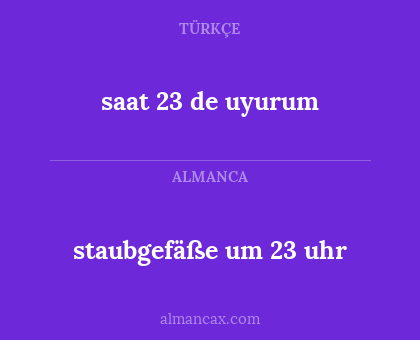 staubgefäße um 23 uhr - saat 23 de uyurum