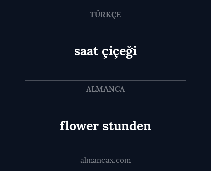 saat çiçeği - flower stunden