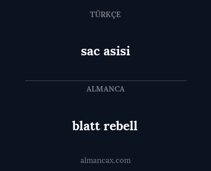 blatt rebell - sac asisi