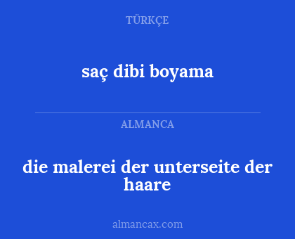 die malerei der unterseite der haare - saç dibi boyama