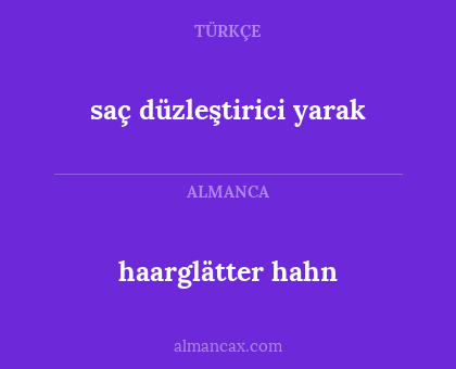 haarglätter hahn - saç düzleştirici yarak