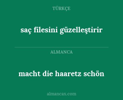 macht die haaretz schön - saç filesini güzelleştirir