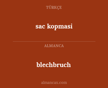 blechbruch - sac kopmasi