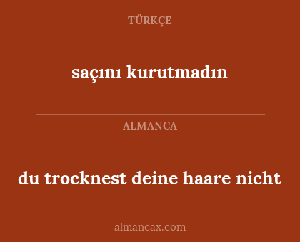 saçını kurutmadın - du trocknest deine haare nicht