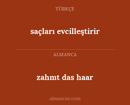 zahmt das haar - saçları evcilleştirir