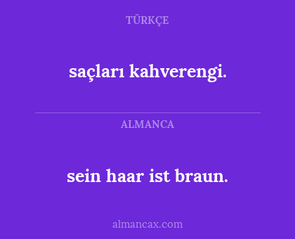sein haar ist braun. - saçları kahverengi.