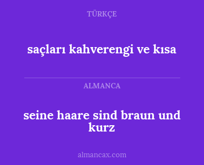 saçları kahverengi ve kısa - seine haare sind braun und kurz