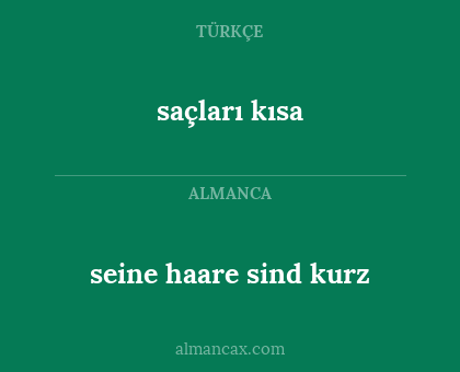 saçları kısa - seine haare sind kurz