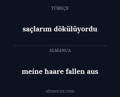 saçlarım dökülüyordu - meine haare fallen aus